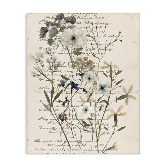 Stupell Industries Vintage Pressed Flowers Plants & Flowers Painting Wrapped Canvas Art Print Wall Art, 16 x 20