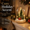 thumbnail image 6 of Luminous Mini Christmas Tree Ornament, Festive Light-Up Tabletop Decoration for Mantel, Shelf, Window, Office Desk, Party Display and Cozy Home Decor, 6 of 8