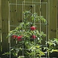 thumbnail image 6 of Ferry-Morse 4-Piece Multi-Use Tomato Cage & Trellis Garden Tomato Cages Plant Support Square Pole, Heavy Duty Steel Plant Tower Stakes, 6 of 6