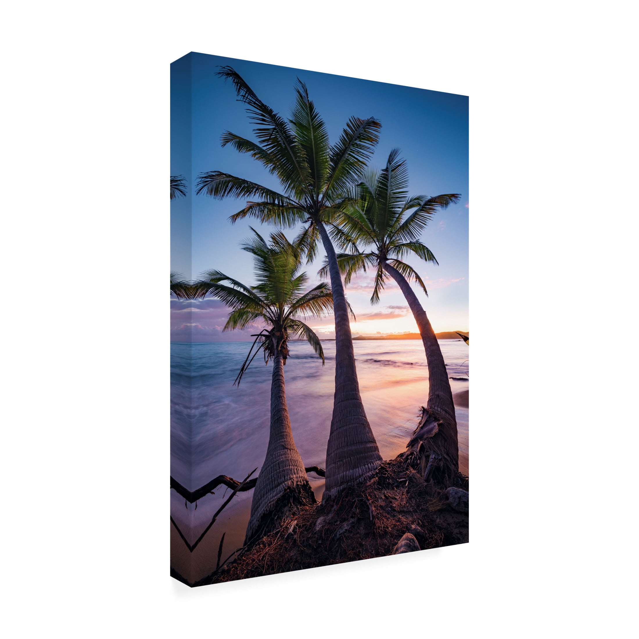 Trademark Fine Art Stefan Hefele Palmy Twilight Canvas Wall Art