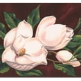 thumbnail image 1 of Fleurs Blanches Grenat Rouge Floral Bord Rétro Design, Rouleau 15' x 7.25'', 1 of 3