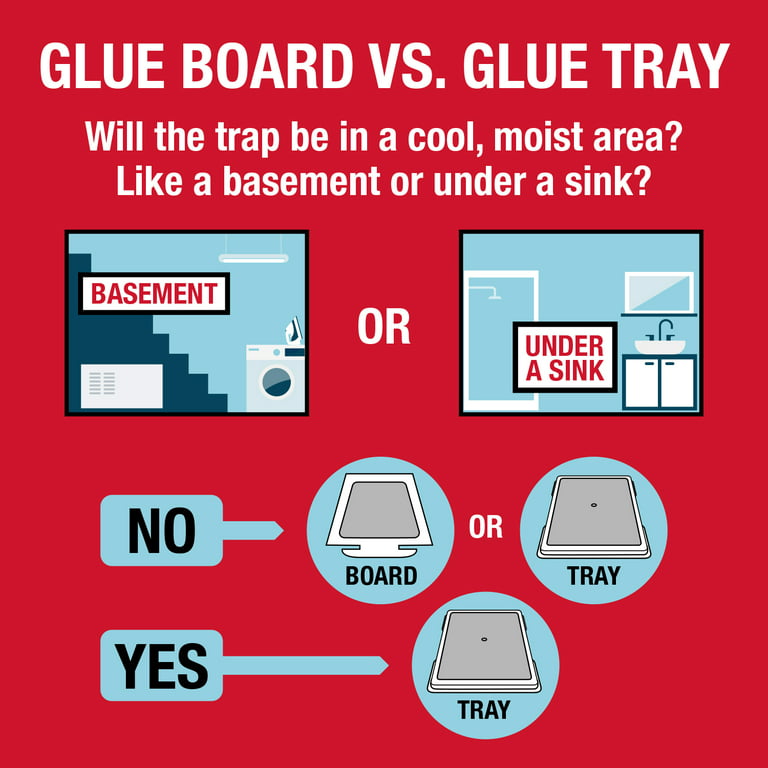 Gluee Louee Heavy Duty Econo-Trap Glue Board Traps