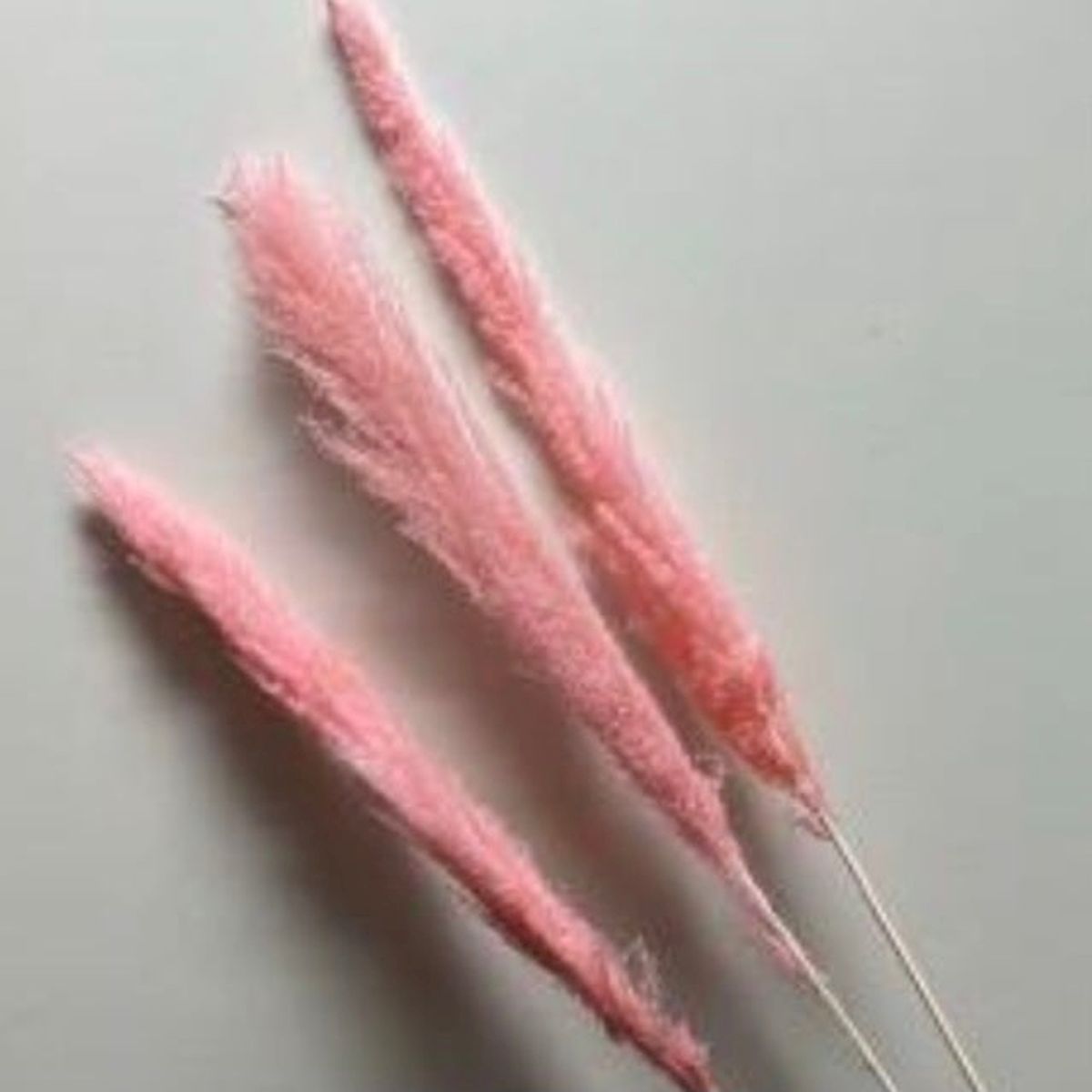 Set Of 3 Pink Pampas Grass Faux Plants And Trees