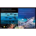 thumbnail image 4 of Brainy Creatures : Sharks, 4 of 5