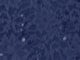 Mariner Navy
