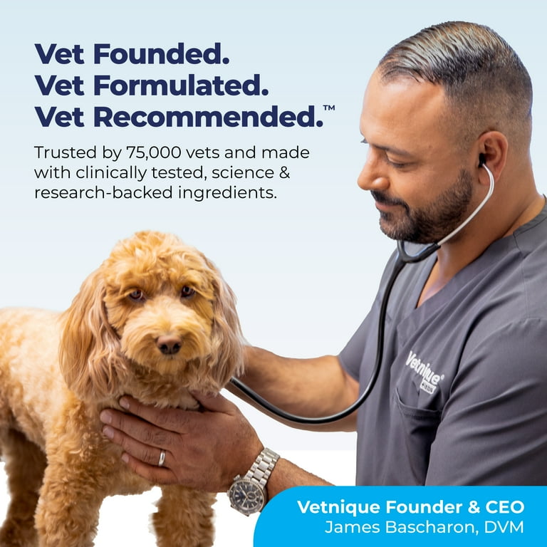 Vetnique Labs Glandex Anal Gland Soft Chews Peanut Butter Flavored for Dogs 40 Count