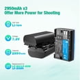 thumbnail image 2 of Batería y cargador FirstPower LP-E6NH para Canon EOS R R5 R6 R7, 2 of 7