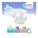 thumbnail image 4 of Pañal Desechable Bbtips Talla 5 Unisex 88 piezas, 4 of 6