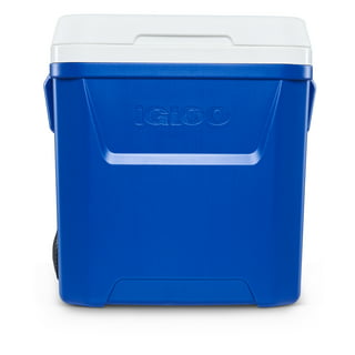 Ice Cube Cooler