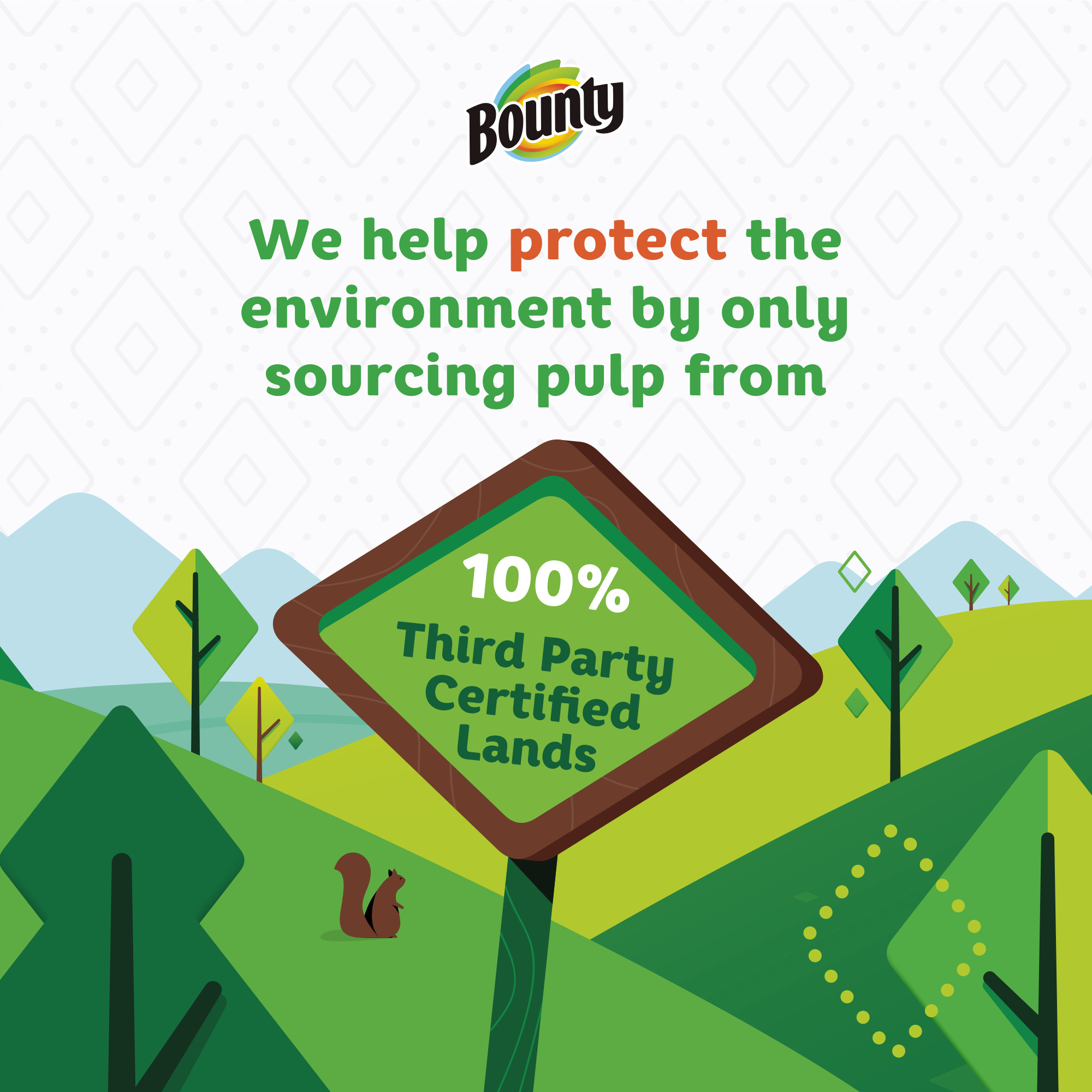 Bounty Essentials Select-A-Size Paper Towels, 2 Double Rolls photo 7