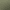 Avocado Green, variant on LUCKMEEY Seamless Bras for Women Wireless Full Coverage Bralettes Comfortable Wirefree Bra S-3XL