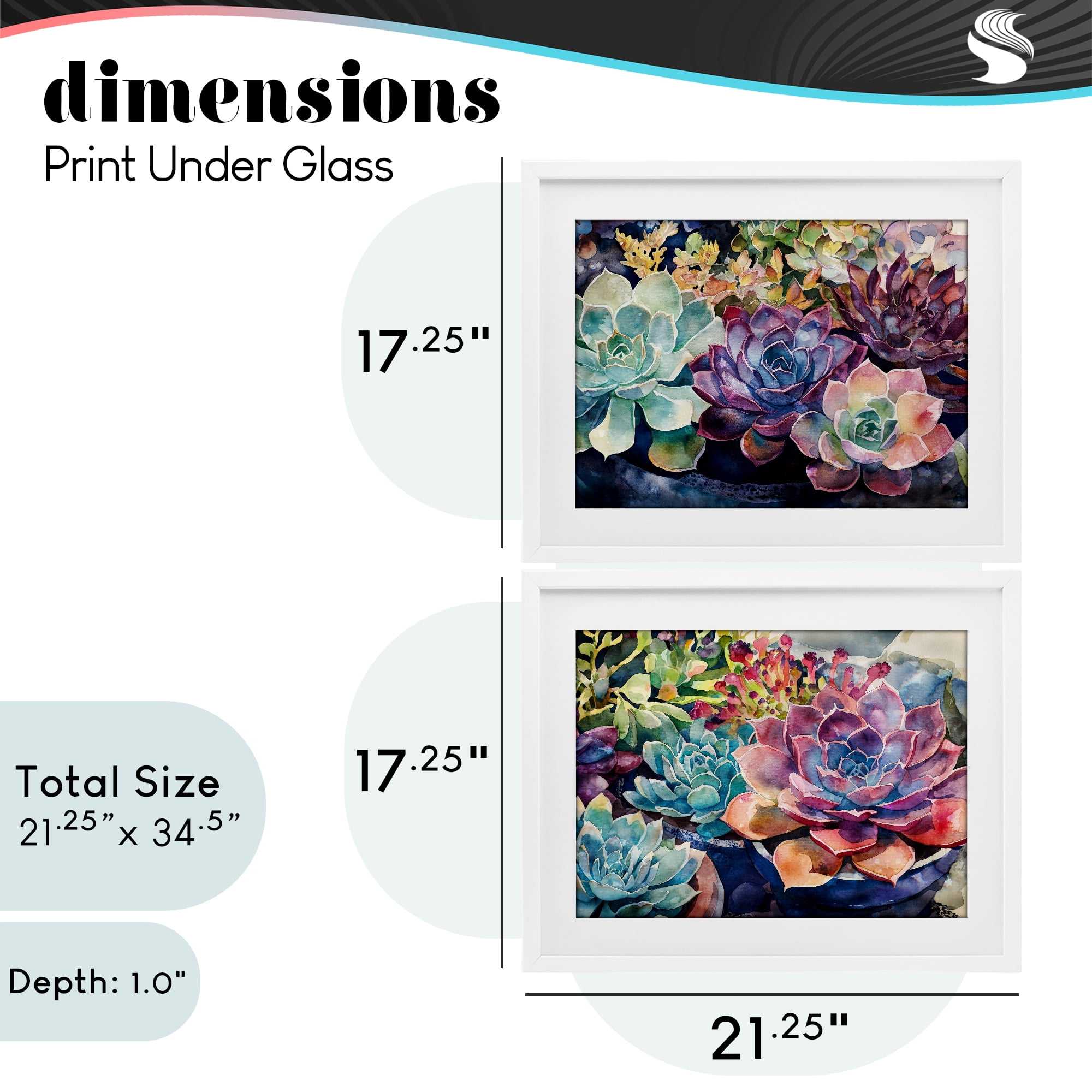 Stupell Industries Sunny Watercolor Succulents 2 Piece White Framed Print Under Glass Set, design by Svetlana Aleynikova