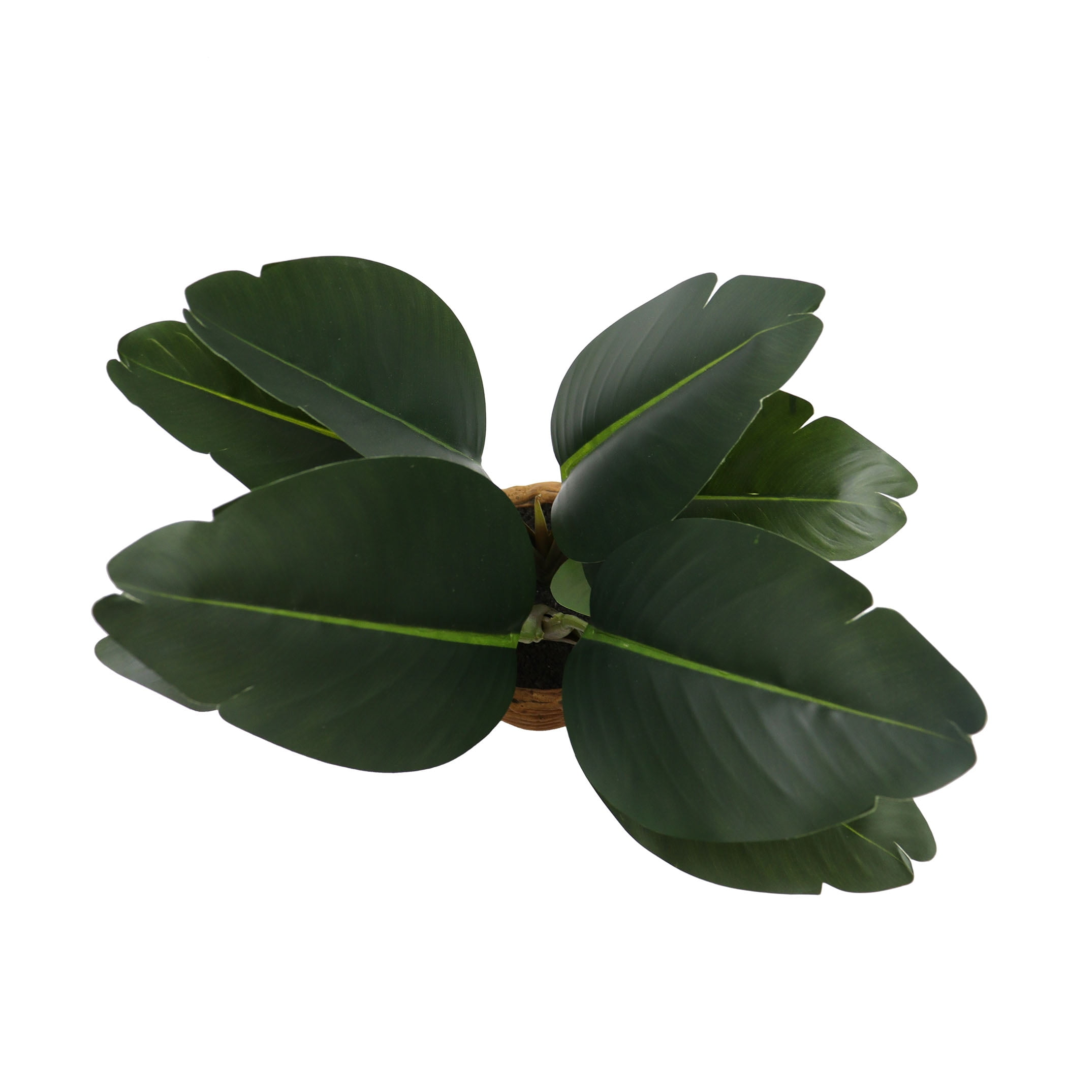 Nature's Mark 16.9”H Artificial Birds of Paradise Greenery Plant in Cement Woven Look Pot