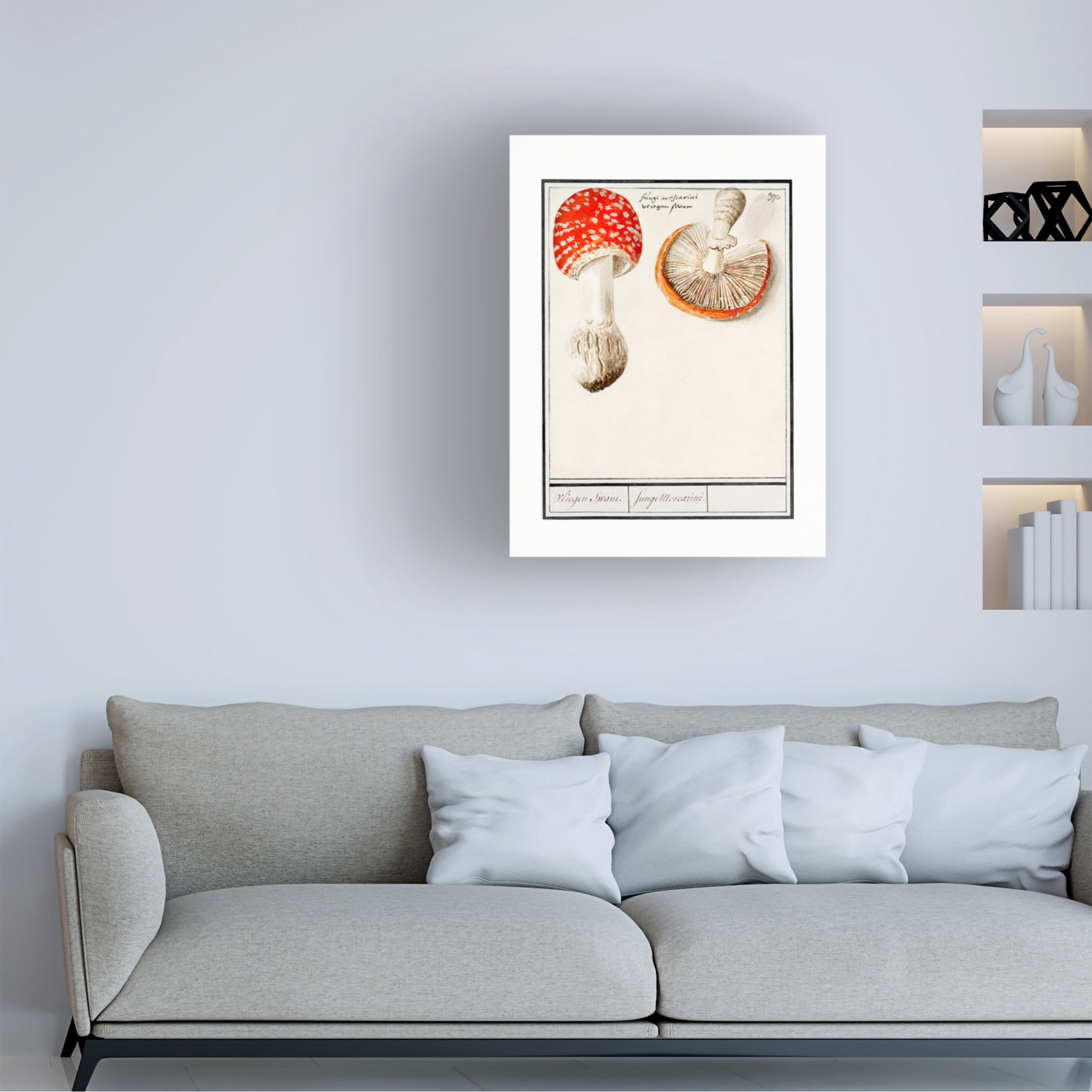 Trademark Fine Art Pictufy  Fly Agaric, Amanita Muscaria Canvas Wall Art