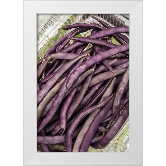 Horton, Janet 11x14 White Modern Wood Framed Museum Art Print Titled - Bellevue-Washington State-USA Freshly harvested Violet Podded Stringless pole beans