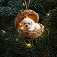 thumbnail image 4 of Acrylic 2D Christmas Tree Ornaments - Festive Holiday Decor, Durable Indoor Outdoor Decorations with Hanging Ribbons, Perfect for Mantels, Windows, and Gifts C, 4 of 5