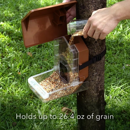 Wasserstein - Bird Feeder Camera Case Compatible with Blink, Wyze, and Ring Cam (Camera NOT Included)
