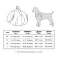 thumbnail image 4 of No Pull Dog Harness and Leash set No Choke Reflective Pet Vest Adjustable Breathable Mesh Harnesses for Small Dogs Cats Walking, 4 of 6