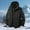 #Black, variant on DPTALR Men's Solid Color Outdoor Hooded Long Sleeve Jacket with Pocket,Zipper for Climbing ,Sports,Running,Black,XXXXL