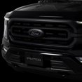 thumbnail image 5 of Putco 92608 Ford LED Grille Emblems, 5 of 6