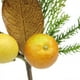 Select Artificials 19" Récolte d'Automne Asheville Fruit Pin et Citron Artificielle L'action de Grâce Spray – image 2 sur 3