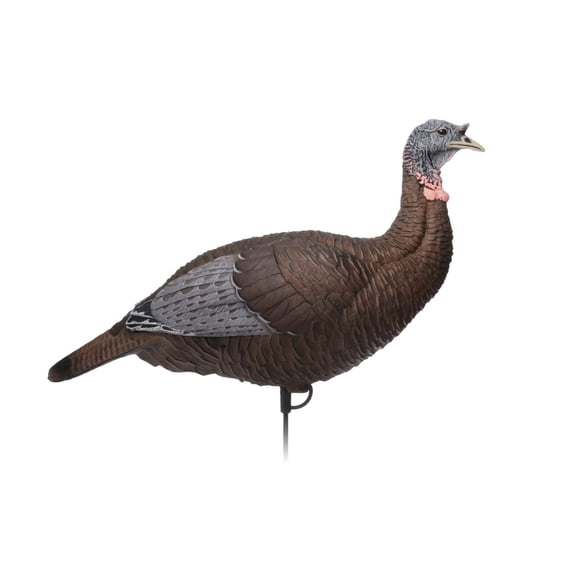 Flextone Hunting Lightweight Ultra Realistic Lifelike Outdoor One Piece Thunder Chicken Upright Hen Turkey Decoy
