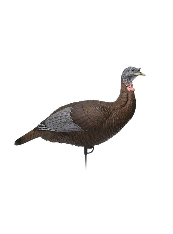 Turkey Decoys in Decoys
