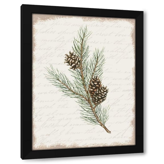 Cindy Jacobs 12x14 Black Modern Wood Framed Wall Art Titled - Pine Cone Botanical II