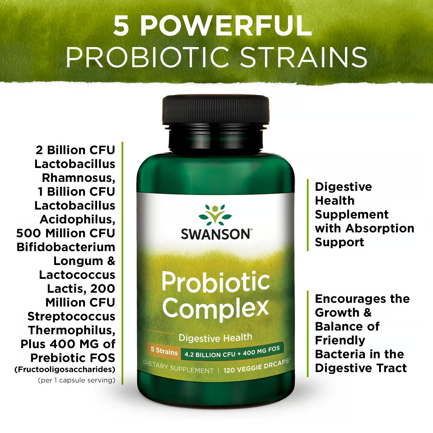 Swanson Probiotic Complex 4.2 Billion CFU 5-Strain Digestive Health Fat Metabolism Satiety Prebiotic FOS Complex Supplement 120 Veggie DRcaps (2 Pack)