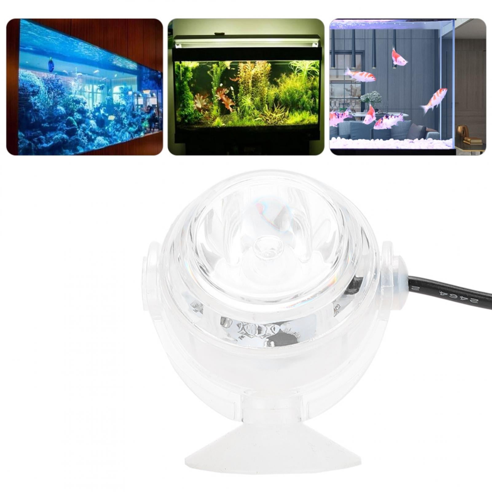 Buy EZSPTO Gradient Aquarium Light, Fish Tanks Light, For Aquarium Fish