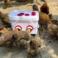 thumbnail image 5 of 6-Port Rainproof Chicken Feeder Kit - Keep Your Poultry Fed Without Waste!, 5 of 5