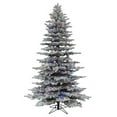thumbnail image 1 of Vickerman A208378RGB 7.5 ft. x 57 in. Flocked Arctic Fir LED504 RGB Color, 1 of 3
