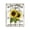 Sunflower Farmhouse Sign, variant on Stupell Industries Traditional Honey Bee Farm Canvas Art, 16 x 20, by Creatif Belle