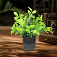 thumbnail image 6 of Decorative Fake Plants, Indoor Greenery, Artificial Potted Plant for Home and Office Decor, Realistic Plastic Arrangement, Stable Flowerpot, Low Maintenance, Versatile Arrangement, 6 of 7