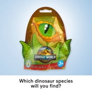 Imaginext Jurassic World Mystery Toy Dinosaur & Adventure Accessory (1 Character; Styles May Vary)