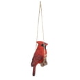 thumbnail image 4 of Colgante Cardinal Ornament Hi-Line Gift Ltd., poliresina roja, 4 of 8