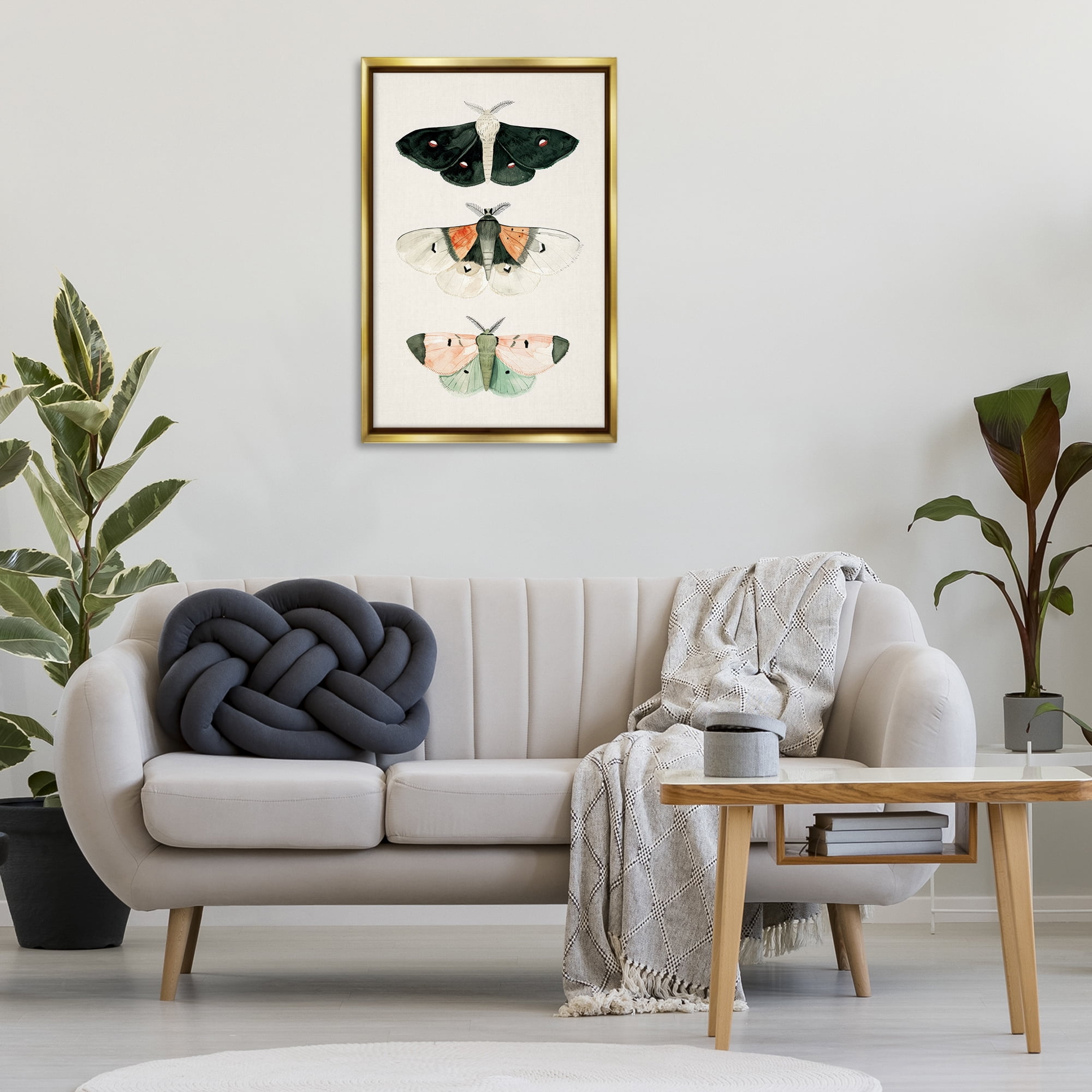 Stupell Industries Assorted Moth Trio Animals Painting Gold Floater Framed Canvas Art Print Wall Art, 21 x 31