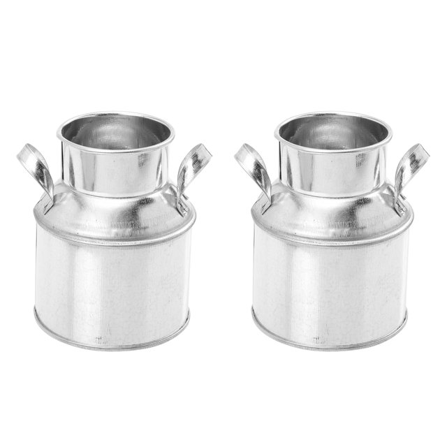 2pcs Vintage Flor Plantando Cubos de Plantación Hogar Planta Contenedores Escritorio Cubos de Almacenamiento