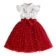 thumbnail image 1 of Vestido de Fiesta de Niñas Bordado de Manga Volante Vestido de Malla Parchada, Traje de Vacaciones Casual con Cinturón para Niños, 1 of 9
