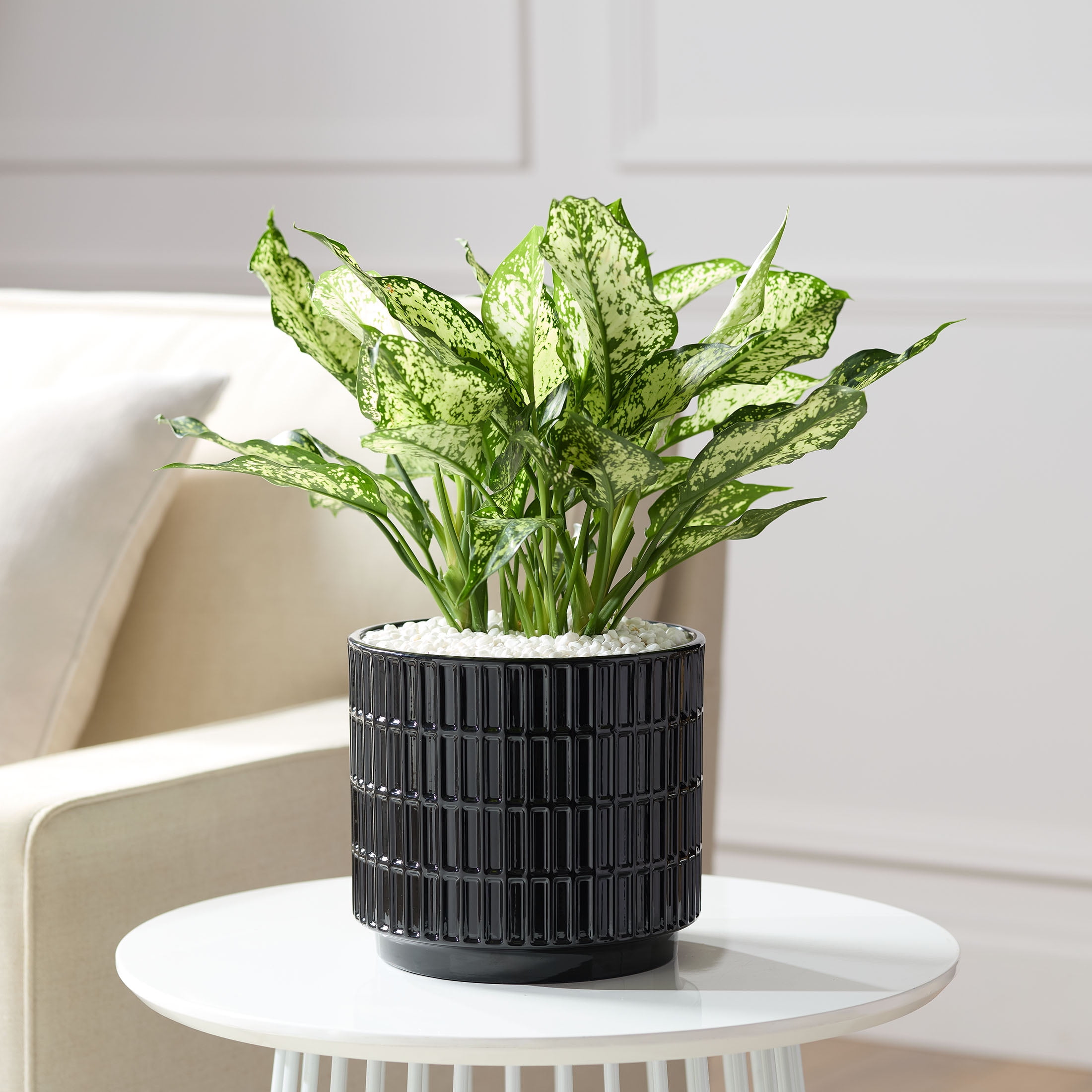 Mainstays 8" x 8" x 7.25" Round Black Ceramic Grid Plant Planter