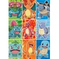 thumbnail image 3 of Buffalo Games - Le puzzle Pokémon - First Partner Pokémon Kanto - en 300 pièces, 3 of 5