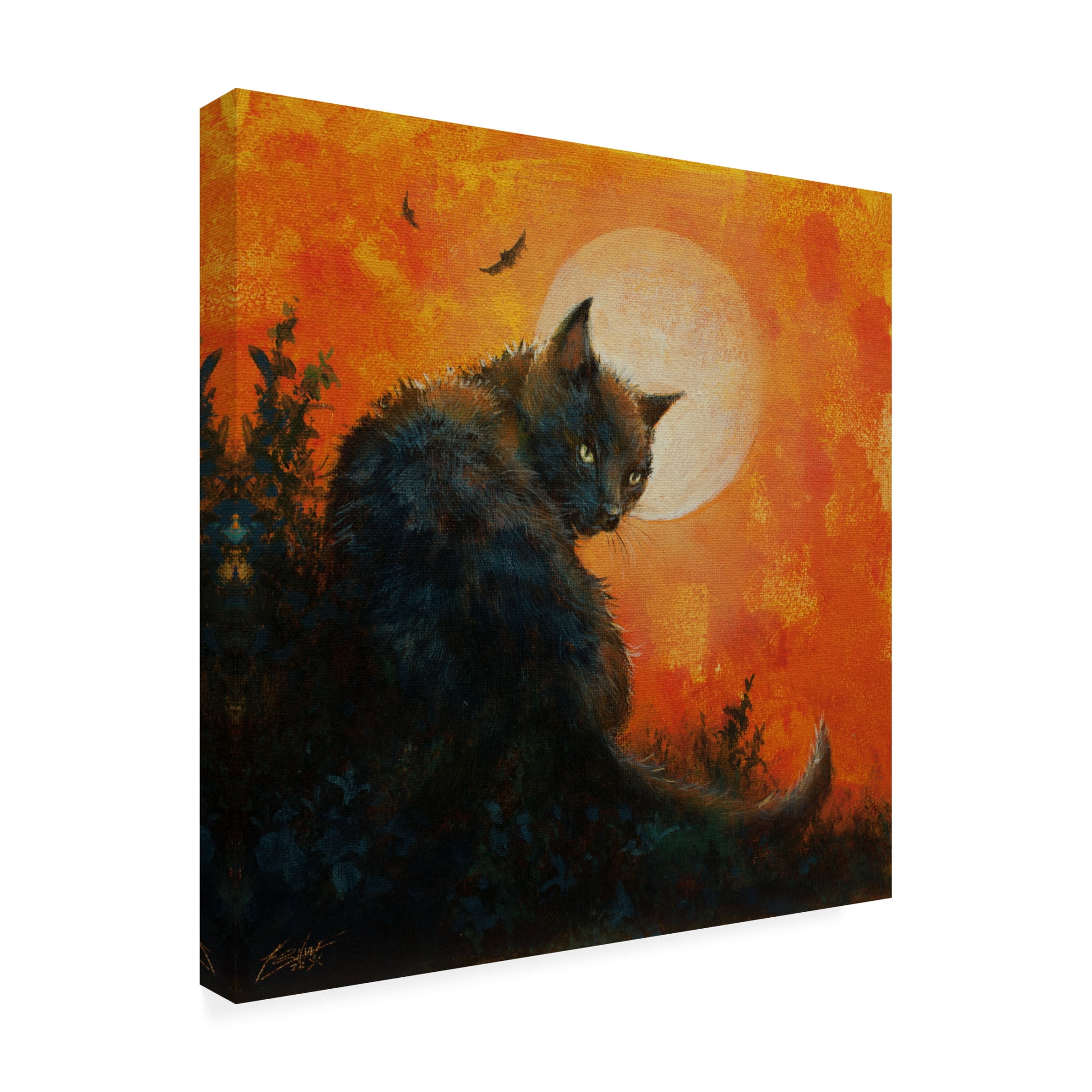 Canvas Wall Art - John Silver 'W1065 Cat and Moon (L)' Wall Art for Living Room, Bedroom, or Office Décor by Trademark Fine Art - 24 x 24 Inches