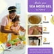 thumbnail image 5 of Sea Moss TrueSeaMoss Purple Raw, 100% orgánico, irlandés, 454 g, 5 of 7