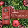 thumbnail image 3 of Shampoo Herbal Essences Pelo Largo Granada & Proteína Vegana 600 ml, 3 of 5