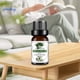 thumbnail image 4 of emoboy 10ml Aceite De Esencia Aromática Diseño Gotero Fragancia De Larga Duración Aroma soluble En Agua Extracto De Planta De Aire Fresco Esencial De Lavanda Rosa Aromaterapia, 4 of 4