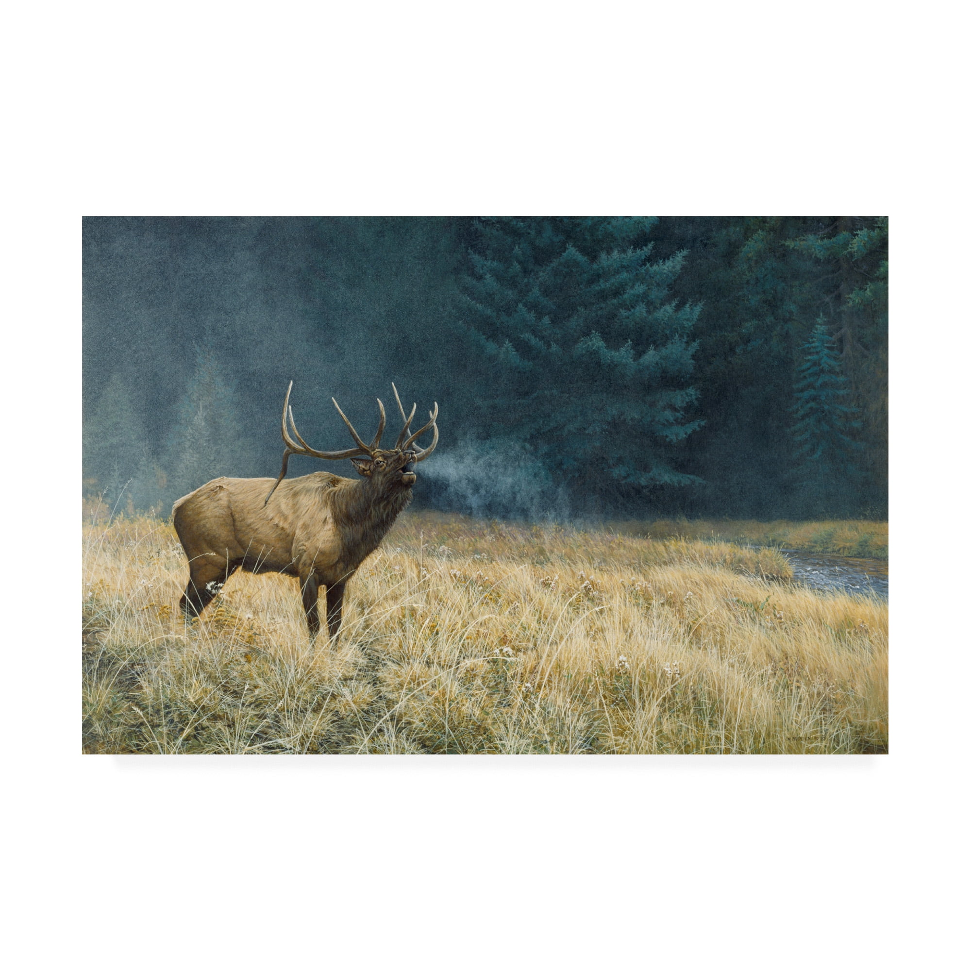Trademark Fine Art 'Autumn Monarch Elk' Canvas Art by Michael Budden ...