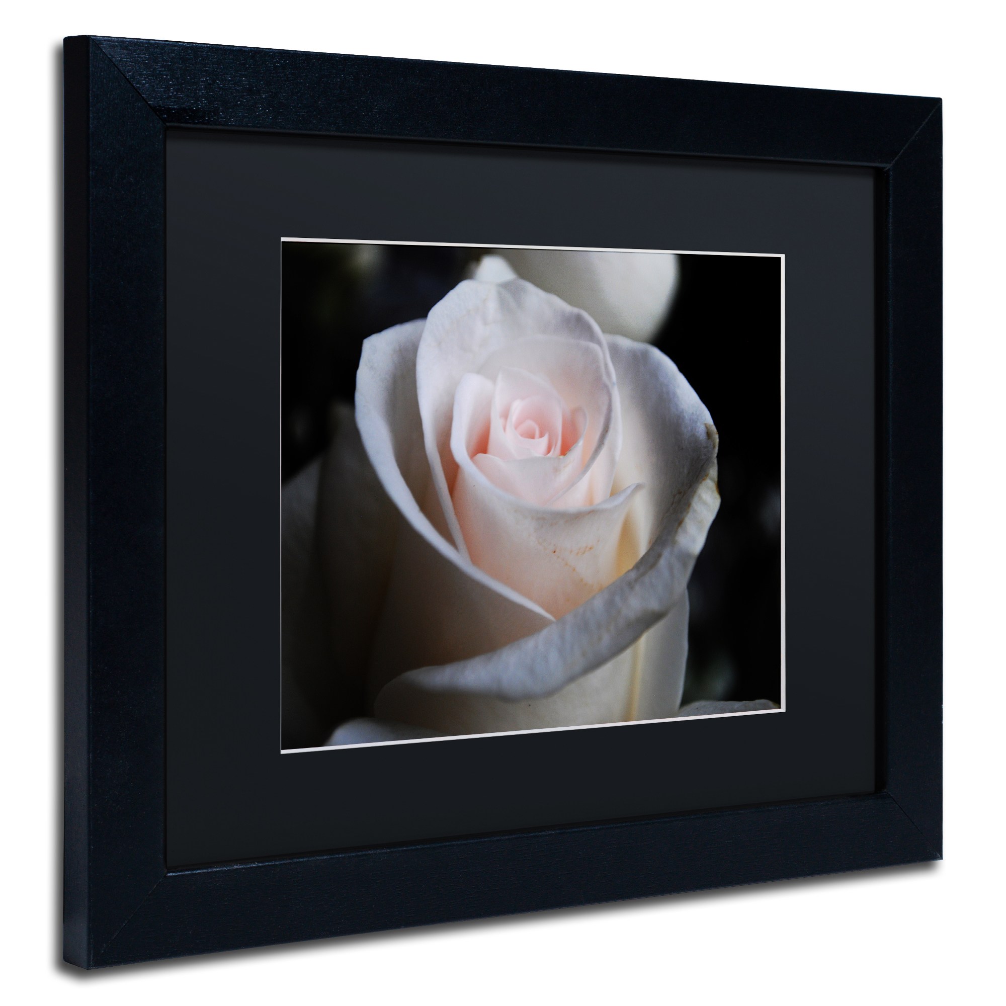 Trademark Fine Art "Loyal Star" Canvas Art by Monica Mize, Black Matte, Black Frame