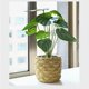 thumbnail image 3 of Plantas artificiales en maceta, bonsái verde, plantas pequeñas en maceta para estante de oficina, cocina, decoración interior y exterior estilo c Macarena Plantas en macetas falsas, 3 of 8