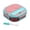 A-Pink, variant on Last Chance 1 Lunch Box, 1 Spoon,304 Portable Stainless Steel Lunch Box For Going Out, Blue, Two Compartments