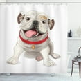 thumbnail image 1 of Ambesonne English Bulldog Shower Curtain, Pure Breed Puppy, 69"Wx84"L, Cream Red Pink, 1 of 3